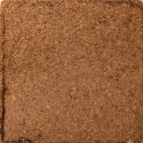 Verdiora Economy Crunch block, washed